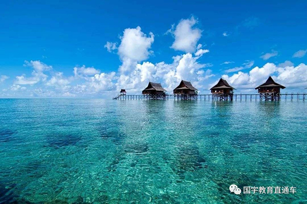 5f3b8329923aa.jpg 5.jpg